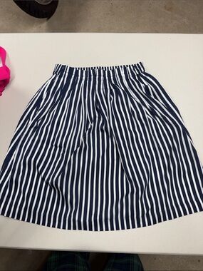 J. Crew Navy & White Vertical Stripe Skater Skirt